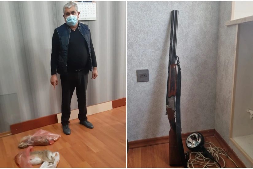 Tovuzda qanunsuz ov edən şəxs saxlanılıb