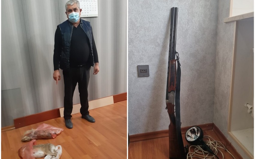 Tovuzda qanunsuz ov edən şəxs saxlanılıb