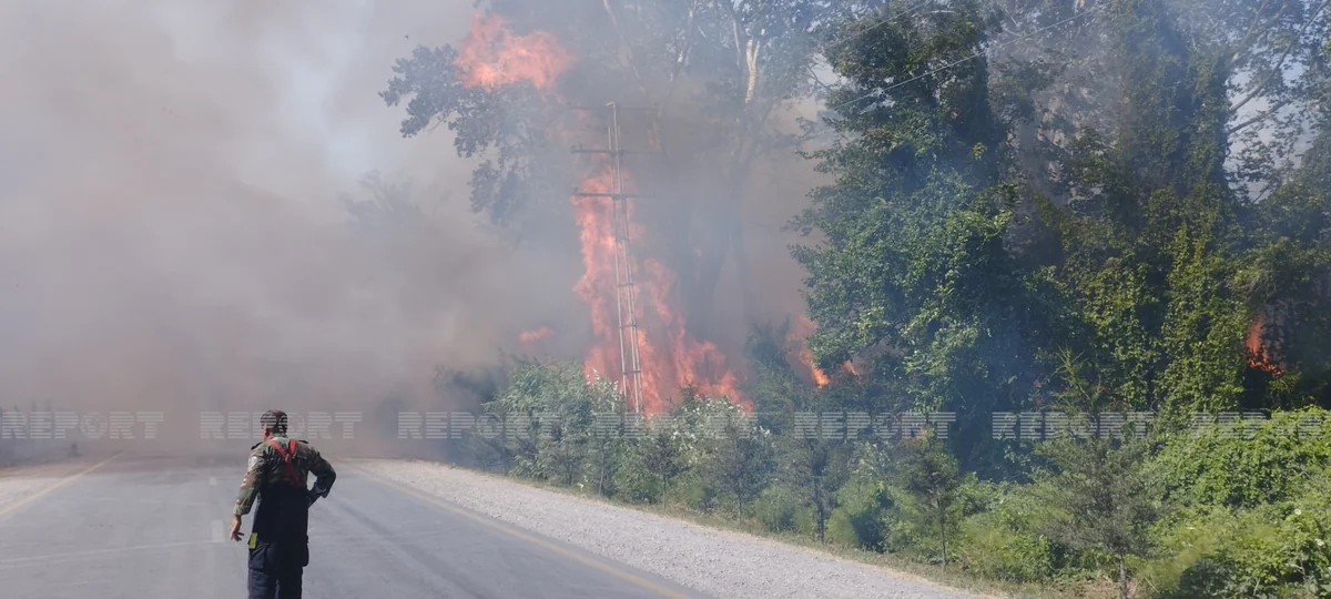 МЭПР обратился к населению