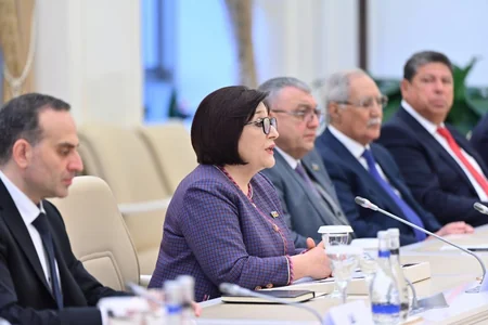 Milli Məclisin sədri Bolqarıstan Prezidenti ilə görüşüb - YENİLƏNİB