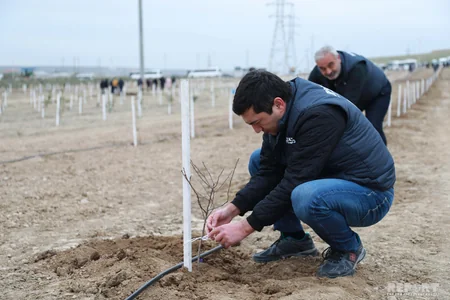 Report News Agency takes part in tree planting campaign - VIDEO