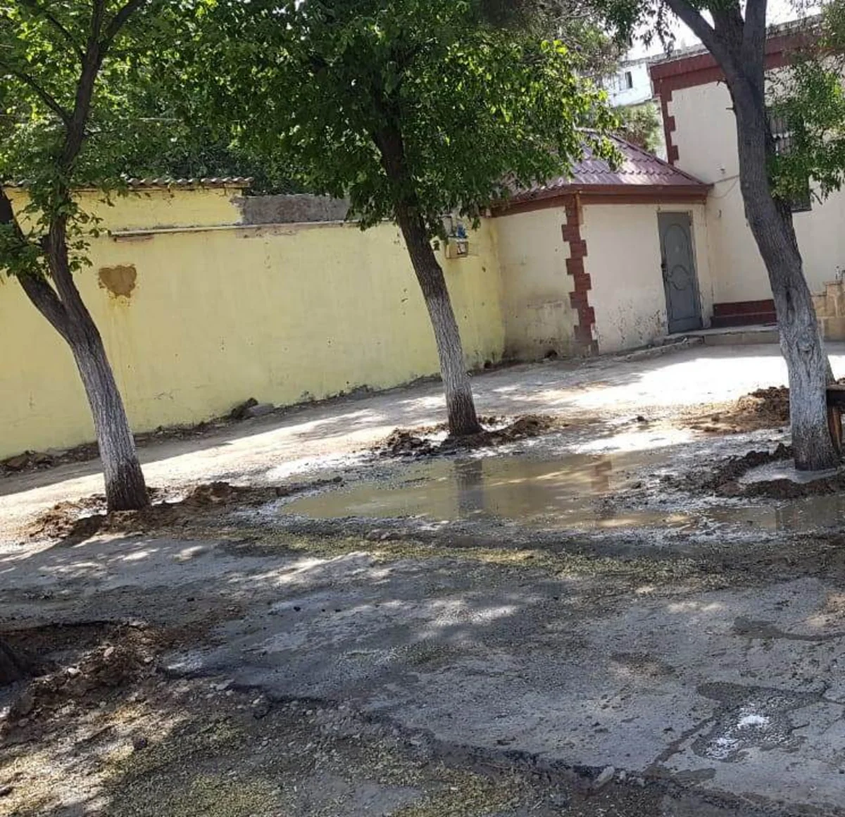 ETSN Yasamalda dibinə maddə tökülən ağacları himayəyə götürüb