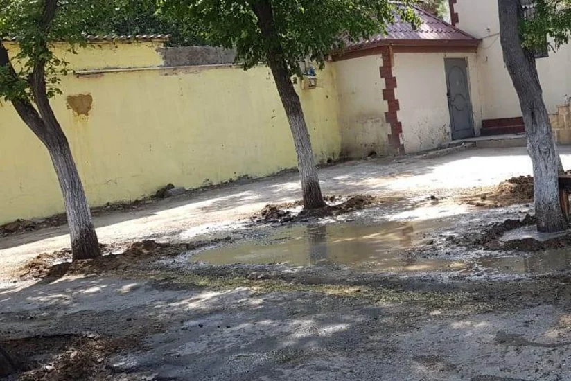 ETSN Yasamalda dibinə maddə tökülən ağacları himayəyə götürüb