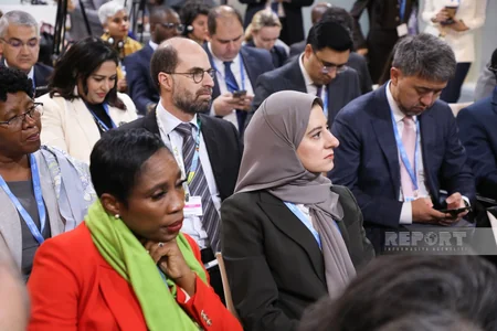 Ministerial forum on green governance launches at COP29 in Baku