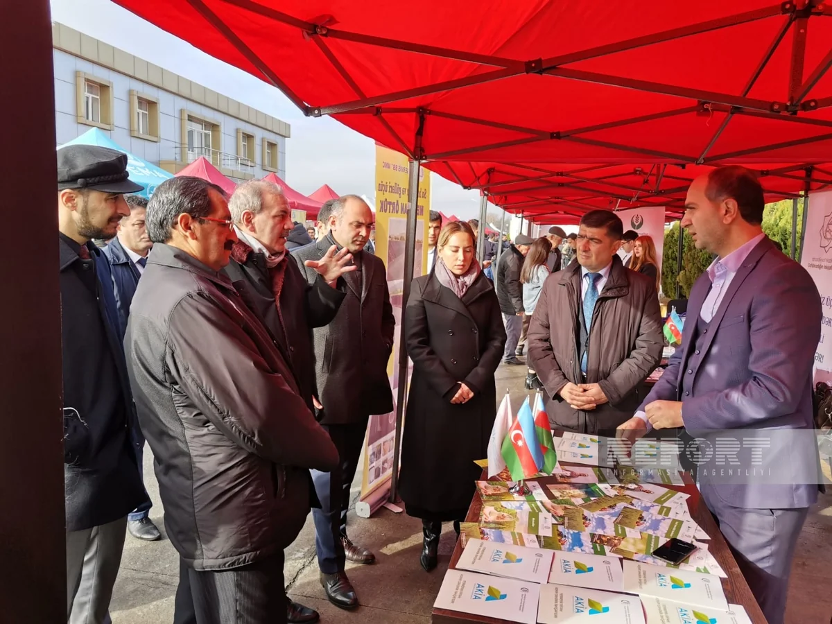 Kürdəmirdə Aqrar İnnovasiya Festivalı keçirilib