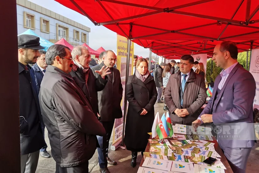 Kürdəmirdə Aqrar İnnovasiya Festivalı keçirilib