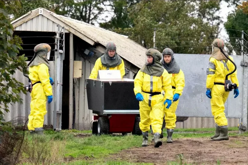 Spain detects new COVID outbreak on mink farm