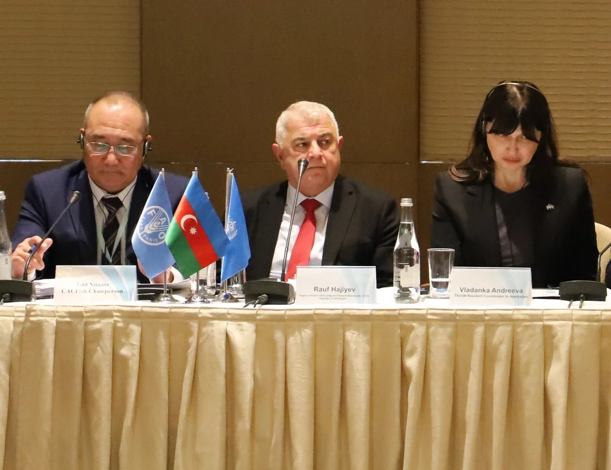 Azərbaycanda bu il su hövzələrinə buraxılan balıqların sayı açıqlanıb