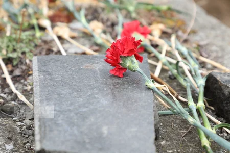 Геноцид в Агдабане был совершен с целью сломить волю азербайджанского народа - ОТКРЫТОЕ ПИСЬМО