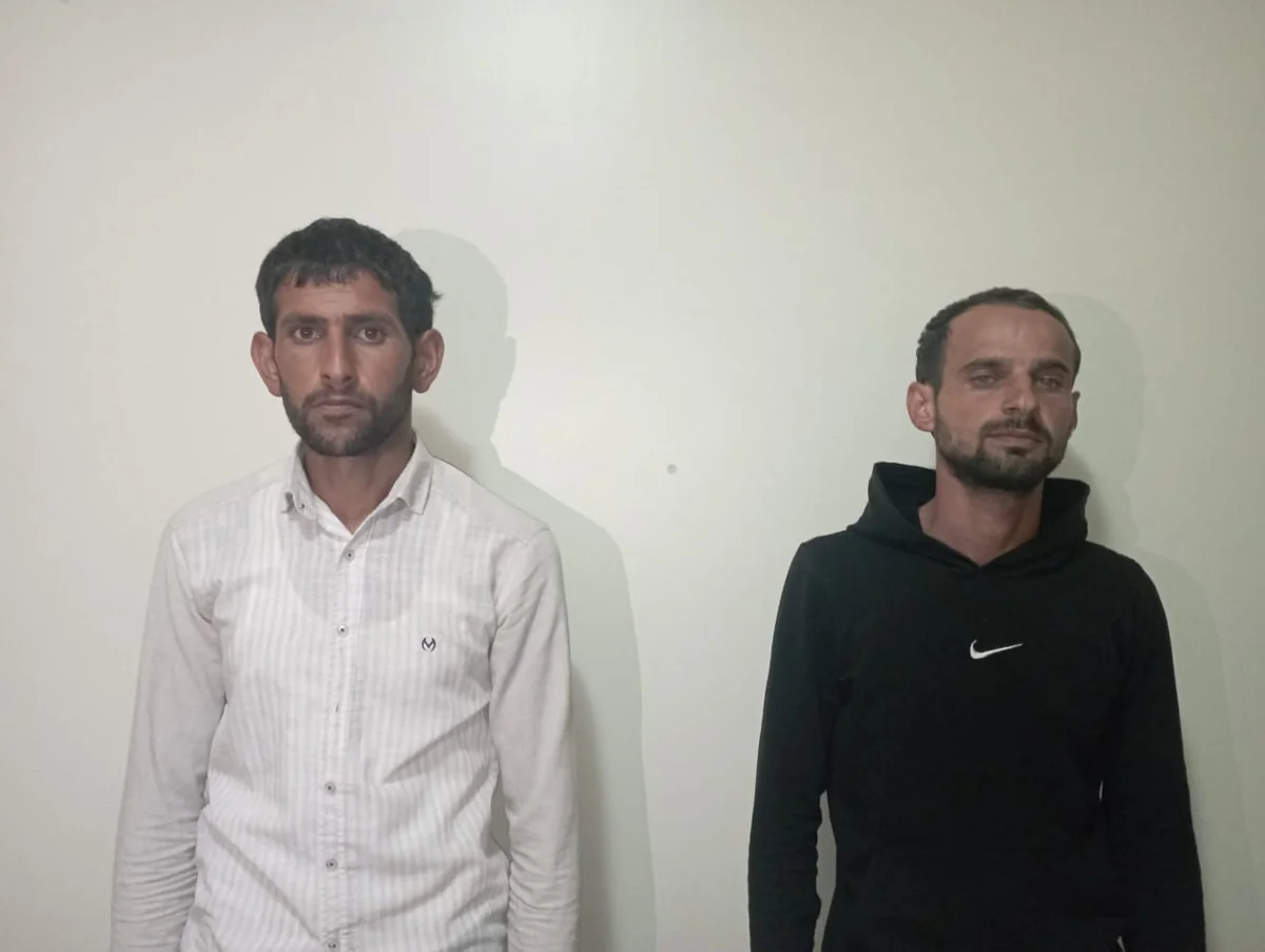 Şirvanda narkotik tərkibli bitkilərin kultivasiyası ilə məşğul olan iki nəfər saxlanılıb 