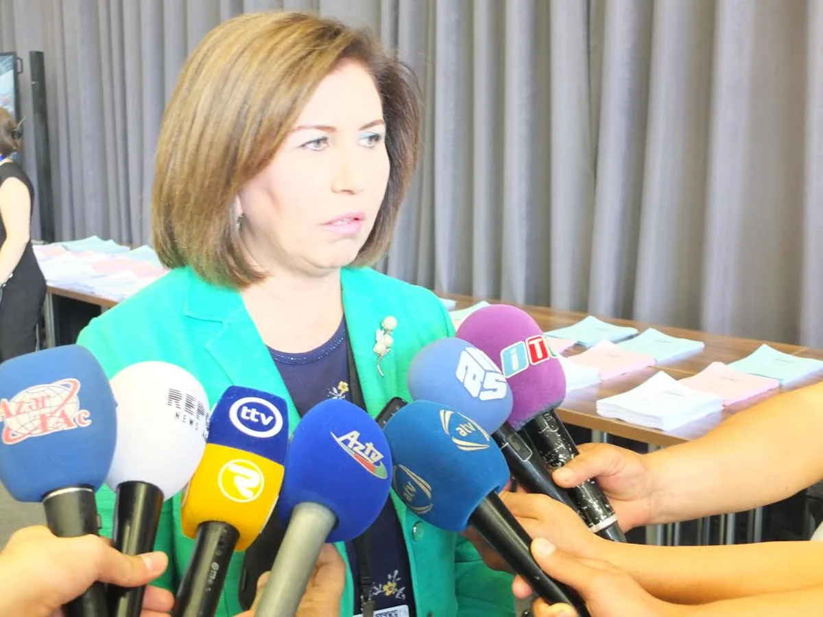 Bahar Muradova: The current status quo satisfies no one except Armenia