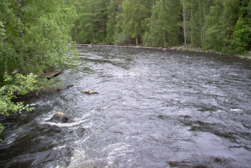 Salyanda 27 yaşlı qız intihara cəhd edib