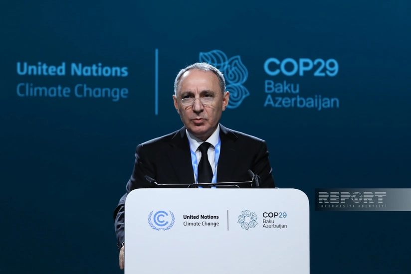 Baş prokuror: Planeti birgə əməkdaşlıq etməklə ekoloji cinayətlərdən qorumaq olar