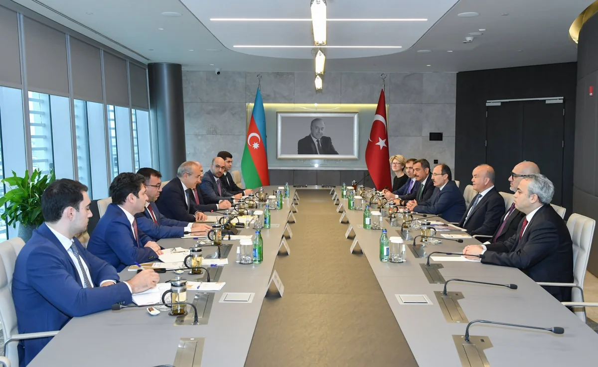Azerbaijan, Türkiye to consider opportunities for joint production of medicines