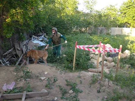 Beyləqanda top mərmiləri aşkarlandı