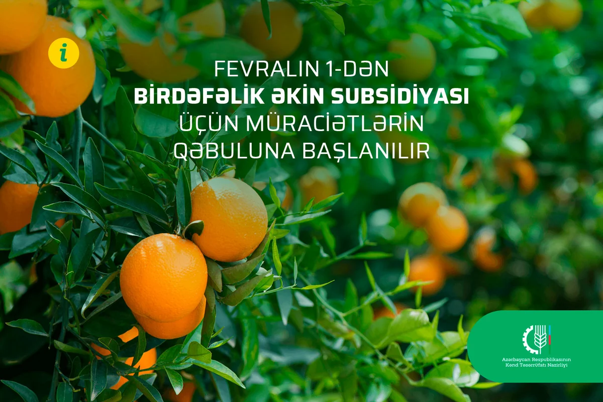 Birdəfəlik əkin subsidiyası üçün müraciətlərin qəbuluna başlanılır