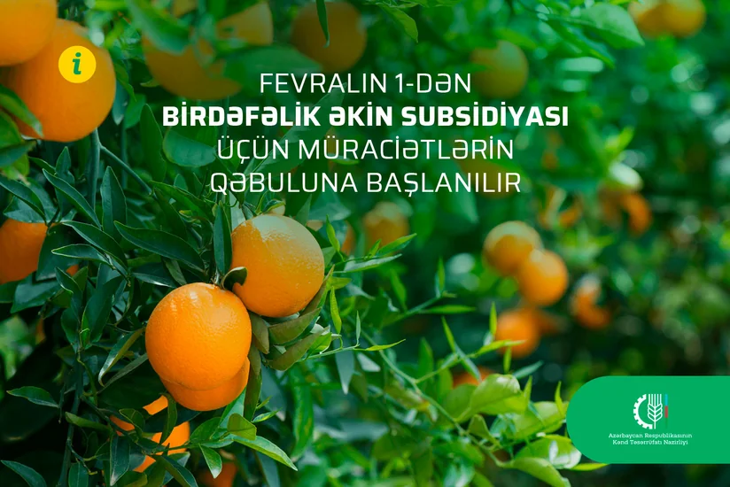 Birdəfəlik əkin subsidiyası üçün müraciətlərin qəbuluna başlanılır