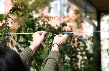 Bakıda daha bir həyət yenilənib