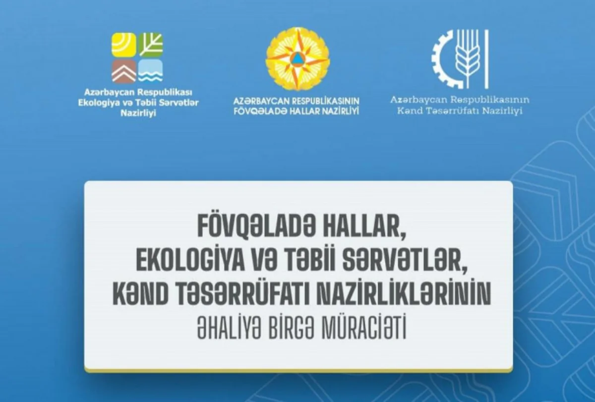 МЧС, Минэкологии и Минсельхоз обратились к гражданам