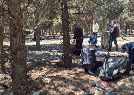 Abşeronda 64 ağacın məhv edildiyi yaşıllıq sahəsi bərpa olunub