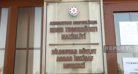 Biləsuvarlı fermerlər pomidorun ucuzlaşmasından əziyyət çəkir