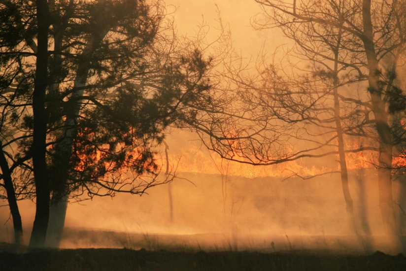 Çilidə meşə yanğınları nəticəsində ölənlərin sayı 131-ə çatıb
