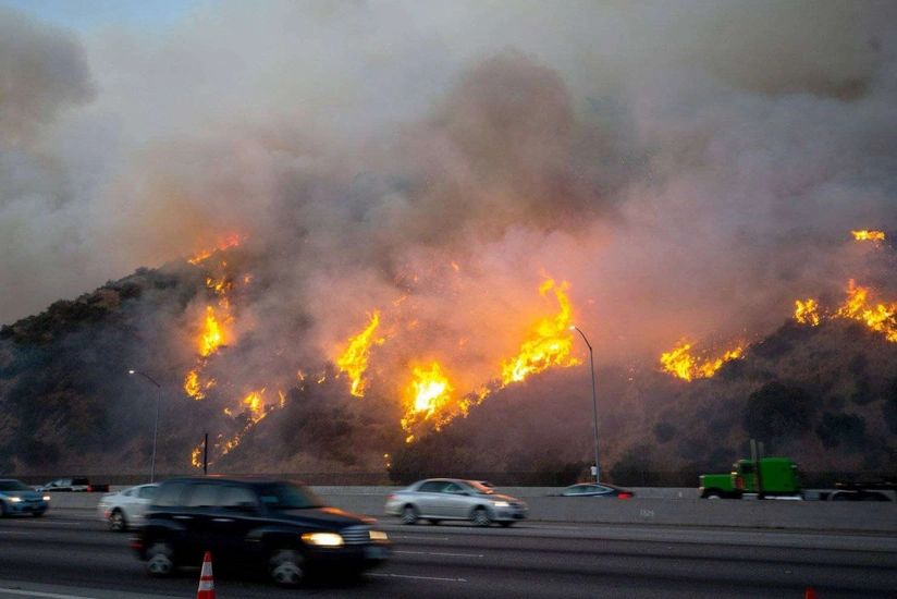 При пожарах в Лос-Анджелесе погибли пять человек, ущерб может превысить $50 млрд