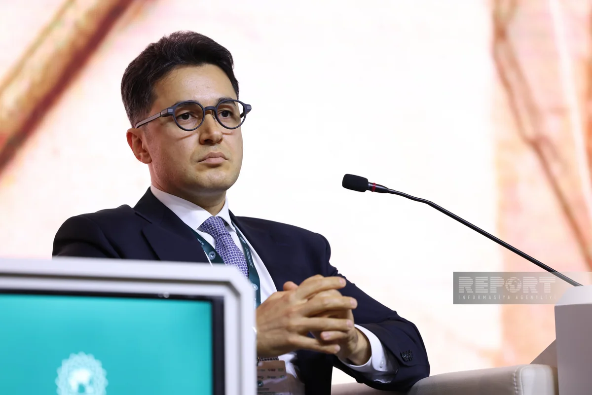 Rufat Hamzayev: Social media accelerates rapid spread of Islamophobic content