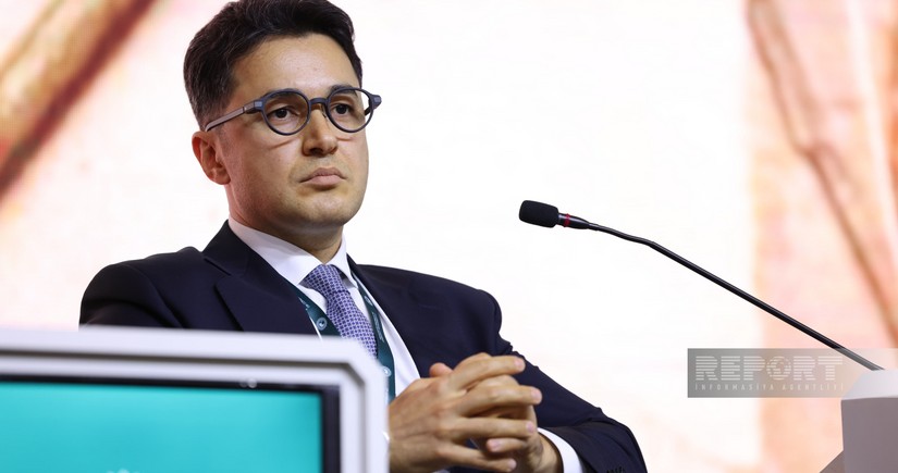 Rufat Hamzayev: Social media accelerates rapid spread of Islamophobic content