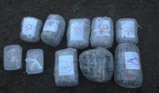 Qazaxıstanda polis mənzildən 83 vedrə marixuana müsadirə edib