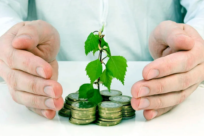 Central Bank of Azerbaijan to soon decide on deposit insurance