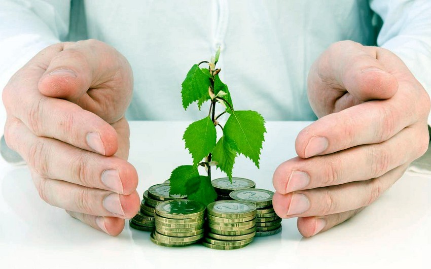 Mərkəzi Bank yaxın günlərdə əmanətlərin sığortalanması ilə bağlı qərarını açıqlayacaq
