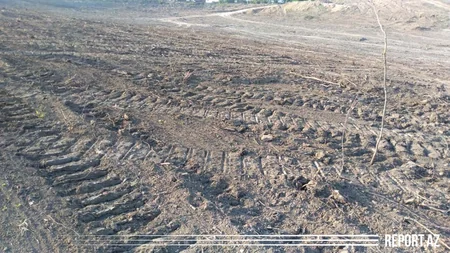 Azərbaycanda ikinci ağıllı bağ salınır