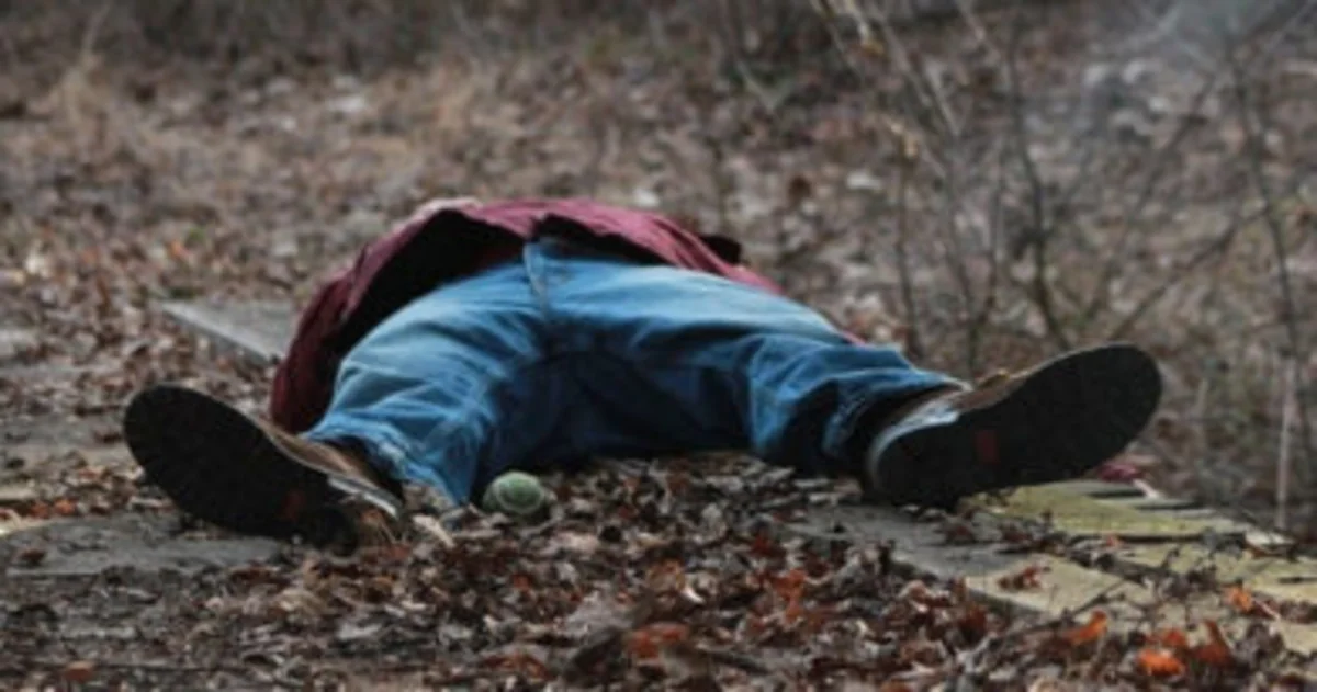 Lənkəranda ağacdan yıxılan kişinin belinə budaq batıb