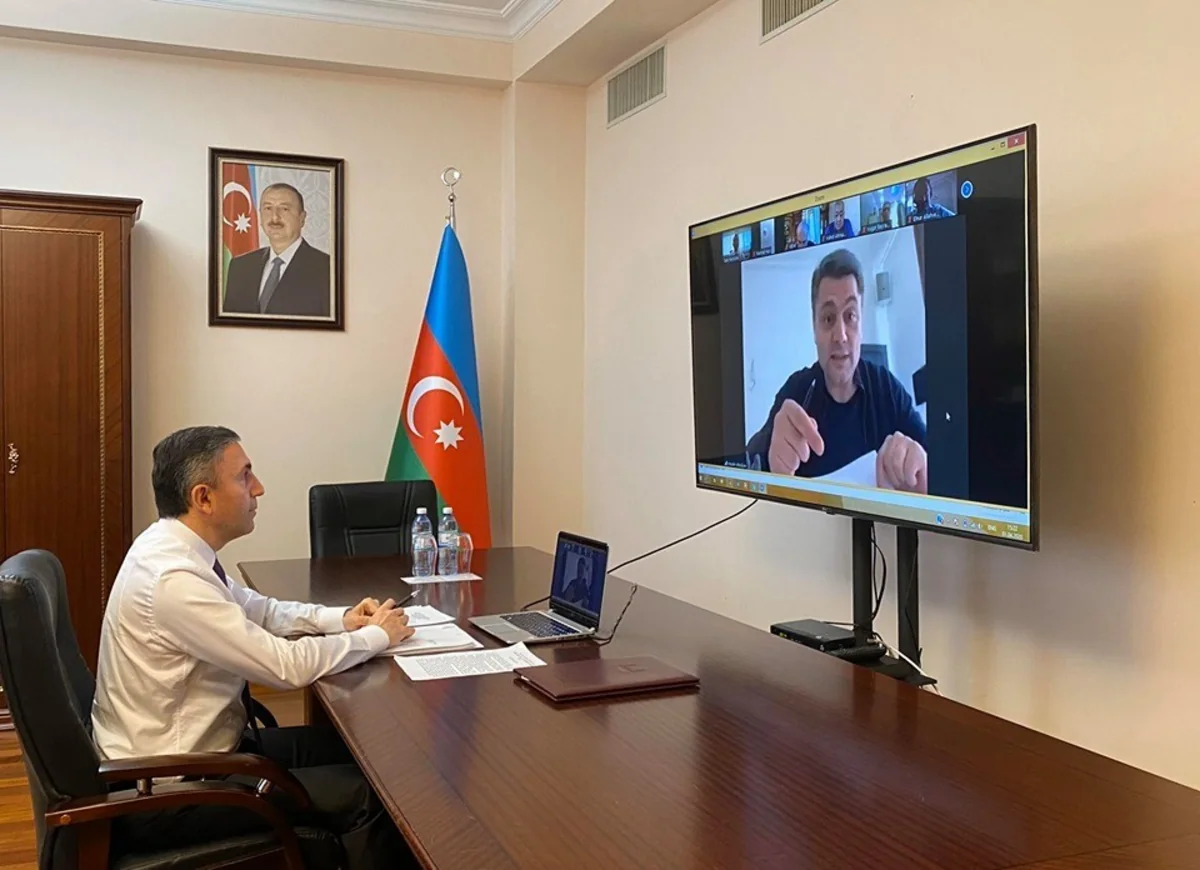Milli Məclisin daha bir komitəsinin onlayn iclası keçirildi