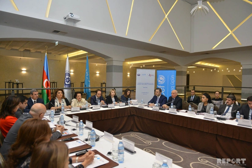 Milli Məclisin komitə sədri: Risk qrupuna aid olan ailələrin qeydiyyatı aparılmalıdır