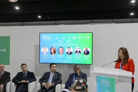 Financial monitoring agencies mull environmental crimes during COP29