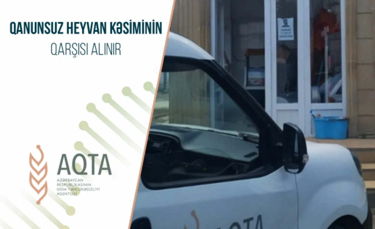 Bakı və Xaçmazda qanunsuz heyvan kəsimi məntəqələri aşkarlanıb