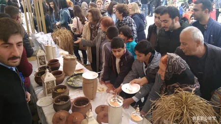 Lənkəranda II Çay, Çəltik və Sitrus Festivalı başlayıb