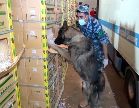 Gömrükçülər 545 kiloqram heroin aşkar edib - VİDEO