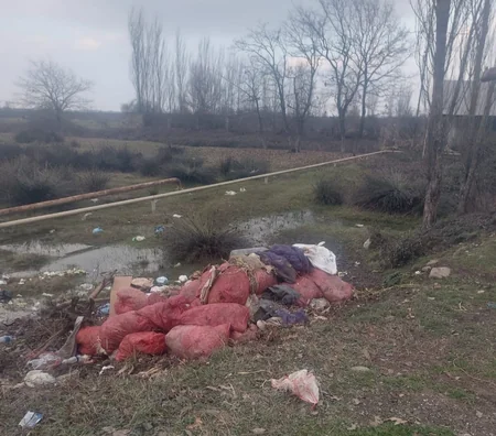 Masallıda ətrafı məişət tullantıları ilə zibilləyən şəxslər barəsində tədbirlər görülüb