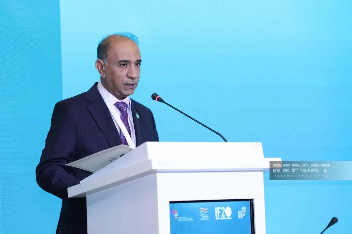 OIC representative stresses desecration of sacred texts and sanctuaries