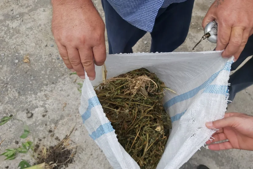 Göyçayda narkotiklərin qanunsuz dövriyyəsi ilə məşğul olan şəxs saxlanılıb