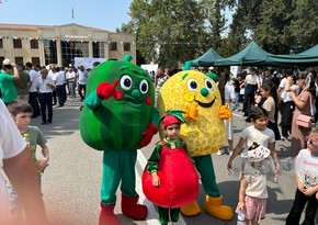 Kürdəmirdə ilk dəfə “Bostan Festivalı” keçirilib