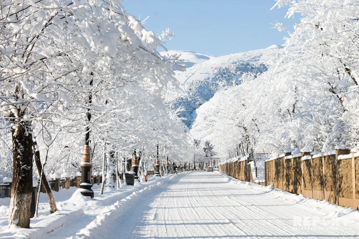 Mysterious snow scenes in Lerik - PHOTO REPORT