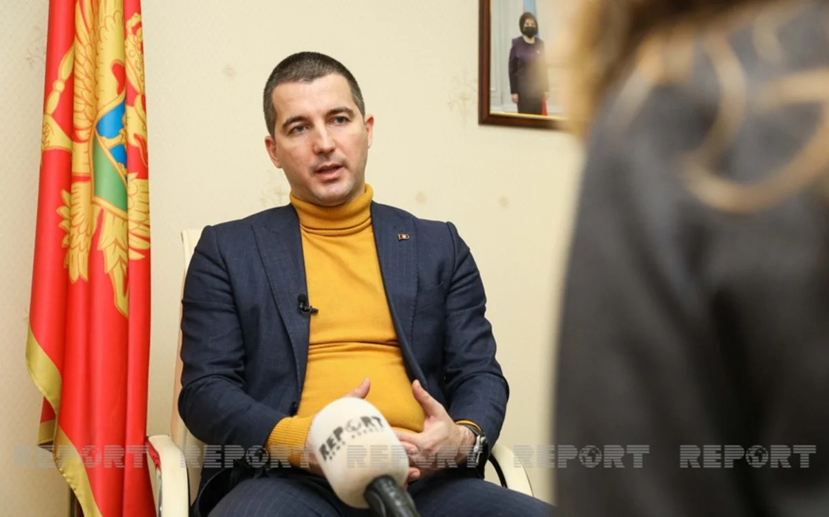 Deputatlar Monteneqro parlamentinin sədrini vəzifəsindən azad ediblər