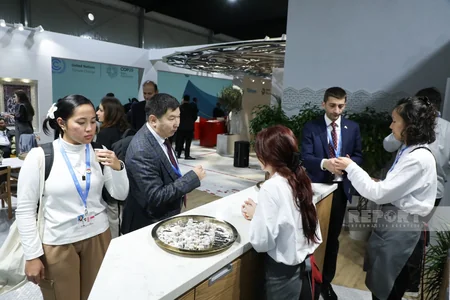 Джемре Далкылыч: Для нас большая честь представлять Турцию на COP29 в братском Азербайджане