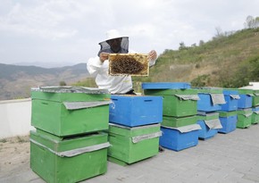 Small farms established for 220 individuals in Aghdara, Lachin, and Khojaly