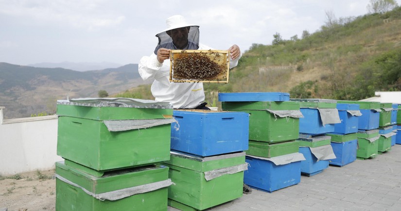 Small farms established for 220 individuals in Aghdara, Lachin, and Khojaly