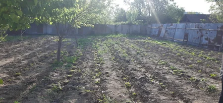 Ağdamda polis əməliyyat keçirib, qardaşlar saxlanılıb